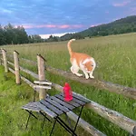 Chalet Sloneczna Z Bali Lądek-Zdrój