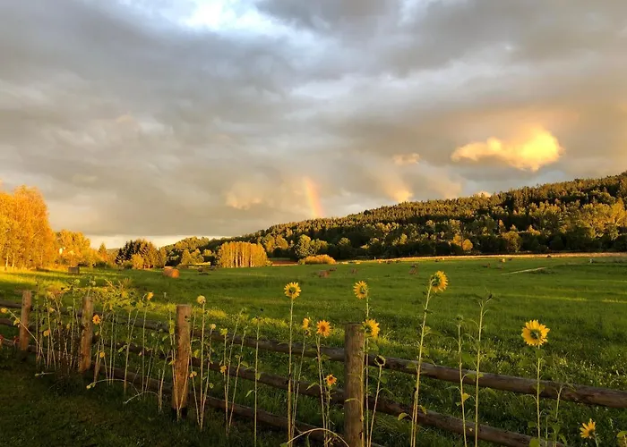 Sloneczna Z Bali Chalet *