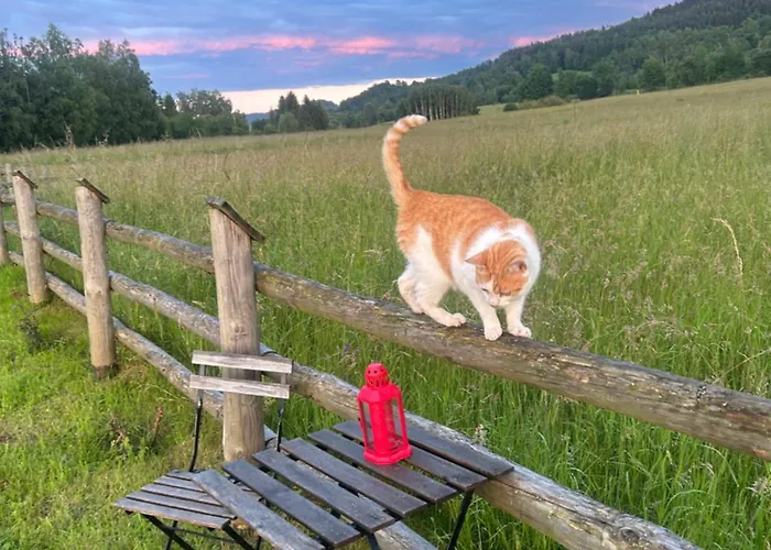 Chalet Sloneczna Z Bali Lądek-Zdrój